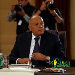 الرئيس المصري : نقوم بجهد كبير من أجل تثبيت التهدئة بين الفلسطينيين وإسرائيل .