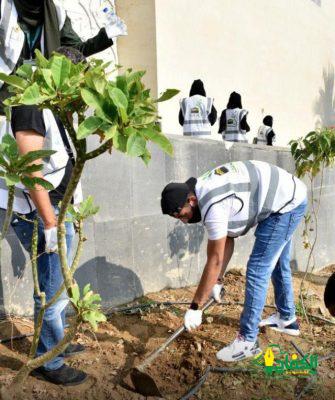 فريق لنغرسها التطوعي يُشارك في حملة “التشجير ” بمكة ضمن مبادرة “السعودية الخضراء”