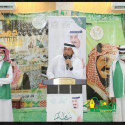 عرض لمُهرات وأفراس جمال الجواد العربي في يومها الثاني في بطولة منطقة مكة المكرمة.