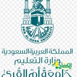 أكاديمية سعودية تدعو لتقليص الفجوة الإدارية بين النساء والرجال.