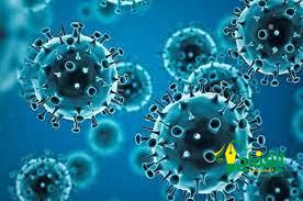 كوريا الجنوبية تسجل أكثر من 60 ألف إصابة جديدة بفيروس كورونا