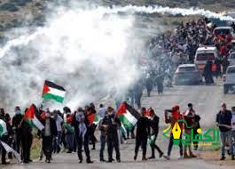 إصابة العديد من الفلسطينيين في اعتداءات قوات الاحتلال الإسرائيلي على مدينة نابلس