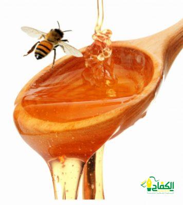 تحت شعار :(جبل ووادي وعسل صافي) مهرجان العسل الثاني لمحافظة أضم ينطلق يوم غد الخميس