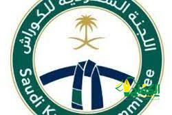 رابطة الدوري السعودي للمحترفين تعلنُ إستراتيجيّةَ التحوُّل للرابطة