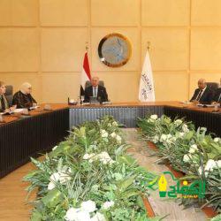 وزير الصناعة: المصرى الدولة حريصة على توفير كافة أوجه الدعم للإستثمارات المحلية والأجنبية العاملة بالسوق المصري