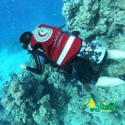 جائزة الشيخ محمد بن صالح تقيم معرض “خالد التشكيلي لذوي الإعاقة” بريشتي أتحدى إعاقتي3