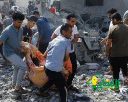 منظمة فاو: تراجع مؤشر أسعار الغذاء نحو 10% في نهاية 2023