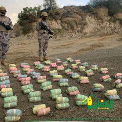 لجنة إسكان الحجاج بالمدينة المنورة تعلن عن آخر موعد لاستقبال طلبات تصاريح إسكان الحجاج لعام 1445هـ