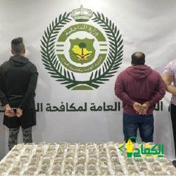 حرس الحدود بجازان يحبط تهريب 380 كيلوجرامًا من نبات القات المخدر