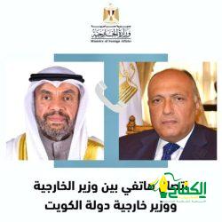 د.أشرف صبحي يشهد حفل تخرج الكيانات الشبابية من دورة الدرسات الاستراتيجية والامن القومي