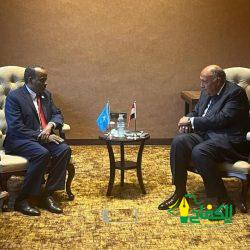 ” وزير الدولة للإنتاج الحربي ” يستقبل المصري ” وزيرة الهجرة ” لبحث التعاون لدعم المصريين بالخارج الراغبين في إقامة مشروعات استثمارية صناعية بمصر