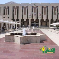 الناشري: 5 أمور صحية تهدد جيل الأطفال الإلكتروني