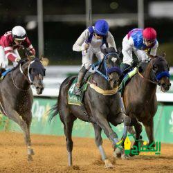 العاب بهلوانية و تكريم في ممشى واجهة حديقة الملك فهد