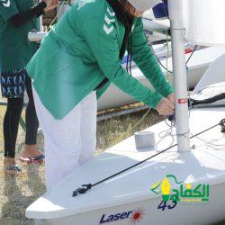العرب وأفريقيا رسمياً في الاتحاد الدولي للدارتس