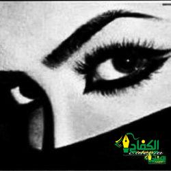 ضوء الحب