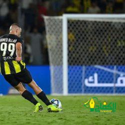 يا معزوفــــة الحاني