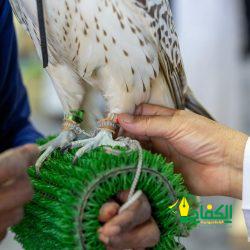 خادم الحرمين الشريفين يوجه بصرف أكثر من ثلاثة مليارات ريال معونة شهر رمضان لمستفيدي الضمان الاجتماعي