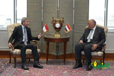 وزير الخارجية بجمهورية مصر العربية يستقبل وزير خارجية سنغافورة