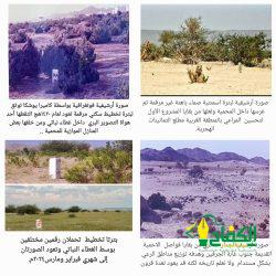 المهابي يكرم فريق عمل وزارة البيئة والمياه والزراعة المشارك في “مهرجان الحبحب 3″