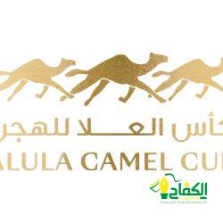 توزيع ١٠٠شتلة بمحافظة صوير ضمن مبادرة “السعودية الخضراء “