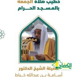 فعاليات رمضانية تستهدف «480» مشاركاً في «صيّر» فرسان