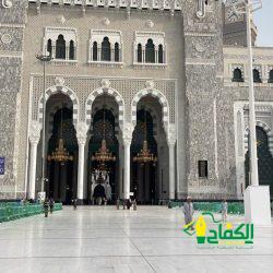 “بيئة خليص” تنظم ورشة عن” دور الأسمدة العضوية في الزراعة”