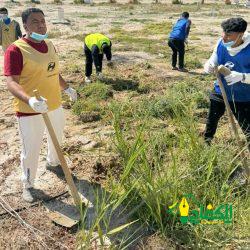 ‏الهيئة العامة للعناية بشؤون الحرمين: توضح الجداول الأسبوعية لأئمة المسجد الحرام والمسجد النبوي الشريف