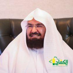 السيسي يستقبل الشيخ محمد بن زايد آل نهيان رئيس دولة الإمارات العربية المتحدة