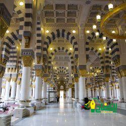 أكثر من ٢٥ ألف سجادة ذات جودة عالية بالمسجد النبوي لراحة المصلين