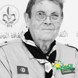 حين تغرق التخبطات تشرق المعرفة