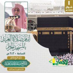 ملايين المصلين من جميع الأعمار يجمعهم الإخاء وتظلهم السكينة بالمسجد النبوي