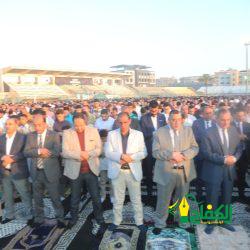 الرئيس عبد الفتاح السيسي – يتلقى اتصالاً هاتفياً من المستشار النمساوي