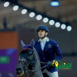 علاء ريحان : تركيب الشعر أحد أهم أشكال جمال المرأة