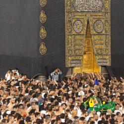 رئاسة الشؤون الدينية تعلن نجاح خطة المنظومة الدينية للجمعة الأخيرة في رمضان