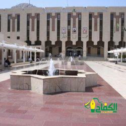 الرئيس عبد الفتاح السيسي – يجتمع باللواء أمير سيد أحمد