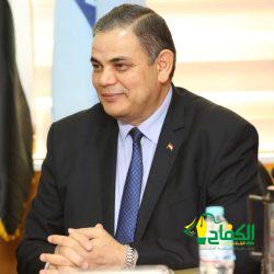 وزير الخارجية المصري يستقبل فرانشيسكا ألبانيز مقررة الأمم المتحدة