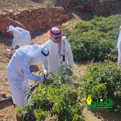” جامعة جدة ” تكرم التطوع والمسؤولية الاجتماعية بيبئة مكة