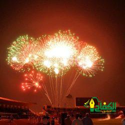 صدى الكلمات.. أقتلوا من قتل الكلب