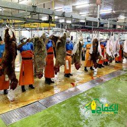 “بيئة جدة” تضبط مسدسات صيد بحري محظورة بحوزة مواطنين بخليج سلمان