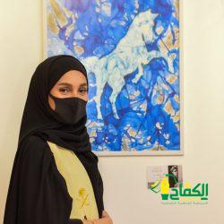 أمير منطقة الجوف يلتقي أهالي محافظة صوير خلال جلسته الأسبوعية