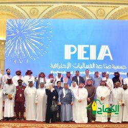 التشكيلية حنين تبهر زوار معرض كروما بفنها الراقي