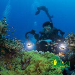 ملاذ الخيالات