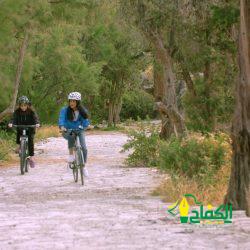 وفد أكاديمي وطلابي أمريكي يزور وكالة بيت مال القدس الشريف