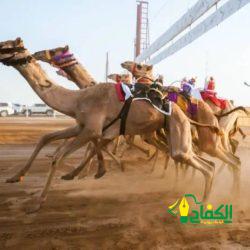 فوز الأرجنتين على كندا في افتتاح “كوبا أمريكا “