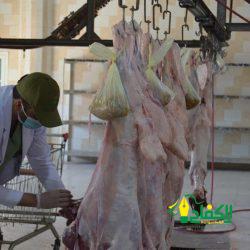 صدى الكلمات.. شكر وتحية محبة