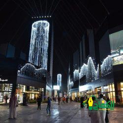 في ختام الموسم الرياضي 2024 لاتحاد رفع الاثقال : النور زعيماً للعبة للرجال والاتحاد لفئة السيدات