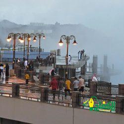 تحت شعار ”أرضنا مستقبلنا ”بيئة جدة تحتفي ب” اليوم العالمي للبيئة “