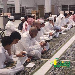 المنظمة العربية للسياحة تبحث التعاون المشترك مع جمهورية فرنسا