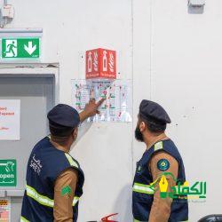 بطء السلحفاة.. درس الحياة الأبدي