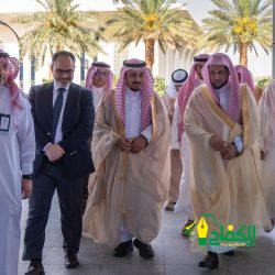 رئيس جامعة الأزهر يشيد بمكرمة خادم الحرمين الشريفين للحجاج الفلسطينيين”